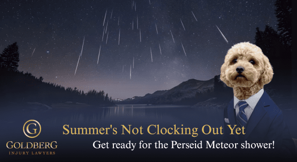 August 2026 - Biscuit Takes Over!